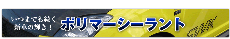 ���܂ł������V�Ԃ̋P���I�|���}�[�V�[�����g